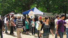 wow a crowd in tsukuba